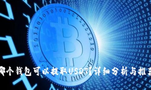 哪个钱包可以提取USDT？详细分析与推荐