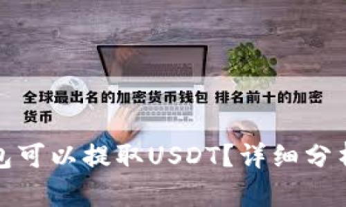 哪个钱包可以提取USDT？详细分析与推荐